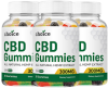 choice-cbd-gummies.png