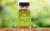BLISS ROOTS CBD GUMMIES.jpg