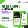 meta trader script (1).png