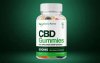 lucanna-farms-cbd-gummies-reviews-a-comprehensive-analysis-of-efficacy-and-user-satisfactionpa...jpg