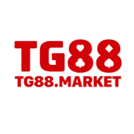 tg88markett