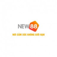 trangchunew88vicomm