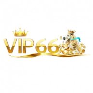 vip66gg6