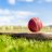 ballbyball114