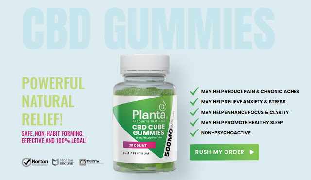 PlantaRX CBD Cube Gummies: A Safe Solution for Stress, Pain & Sleep