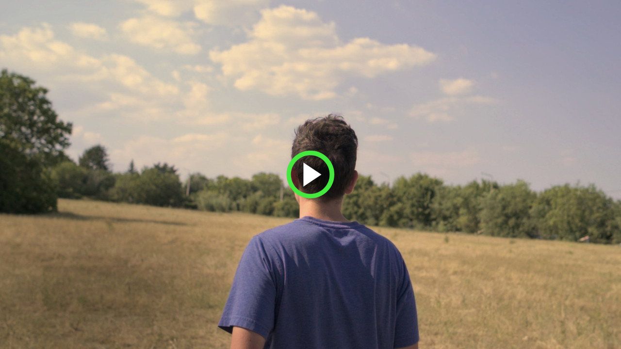 fanlink.tv