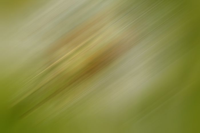 sntecor.ru