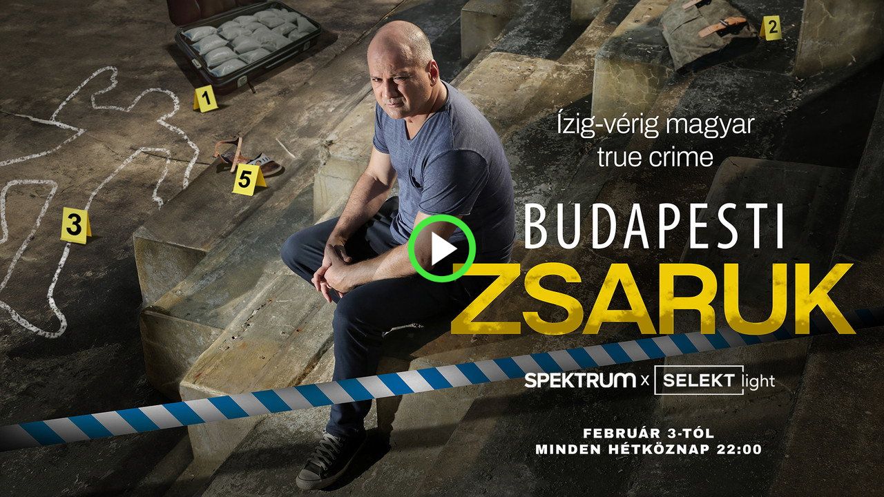 fanlink.tv