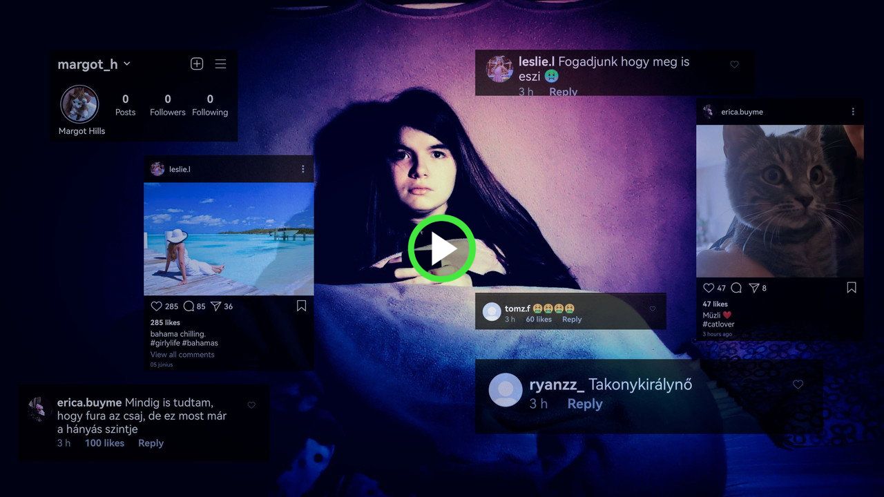 fanlink.tv