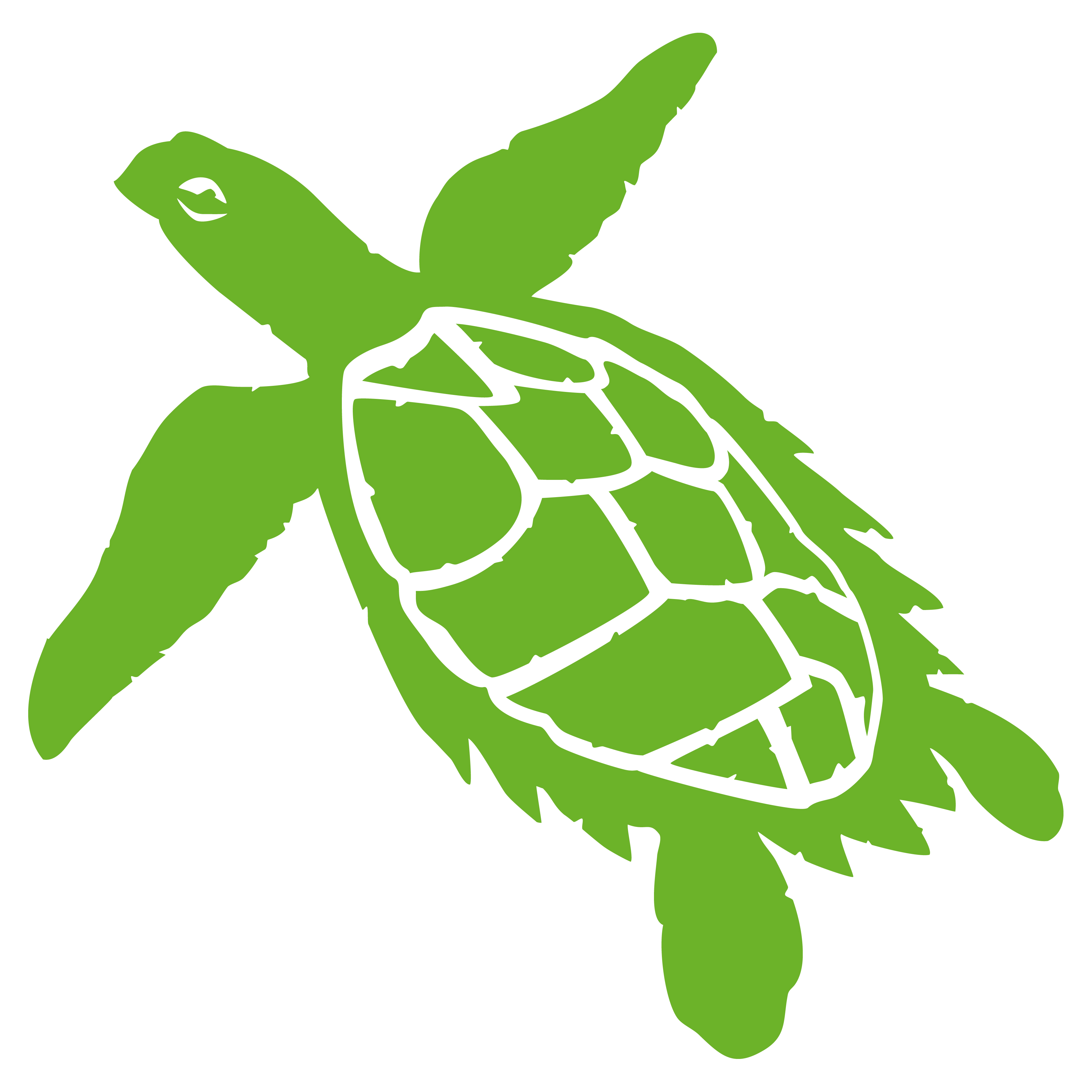 donate.friendsvinp.org