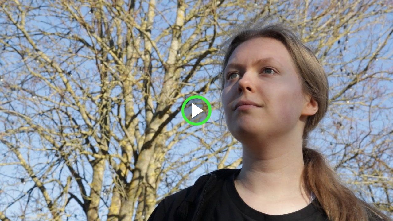 fanlink.tv