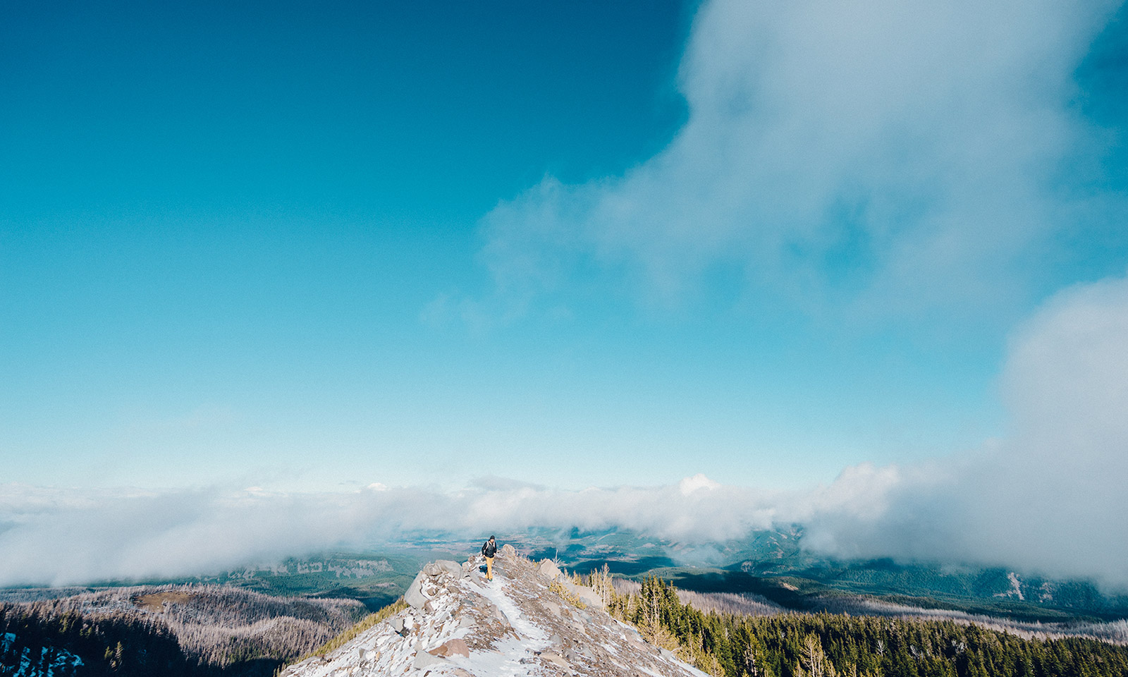 clearmindrelief.amebaownd.com