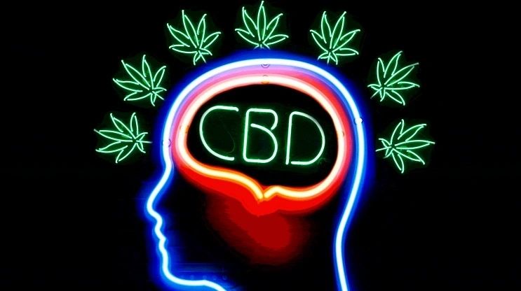 blissfulwellnesscbdgummiesrevi.godaddysites.com