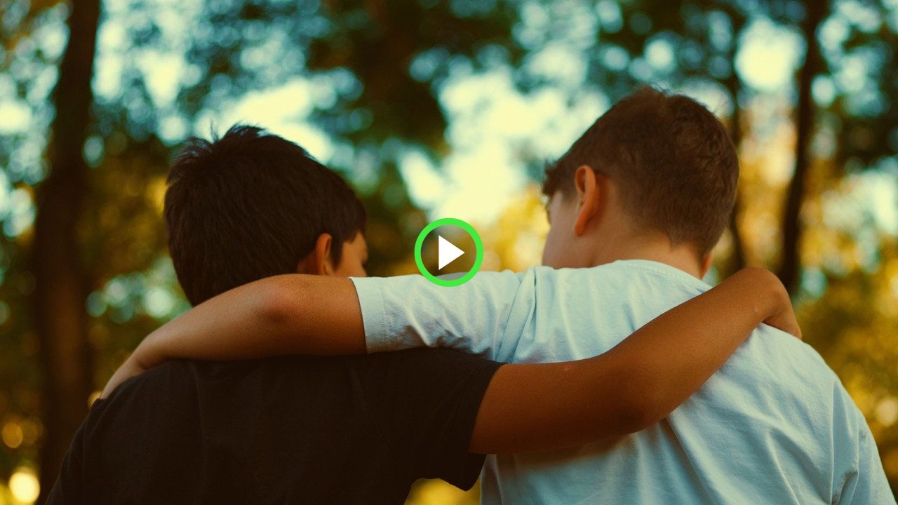 fanlink.tv