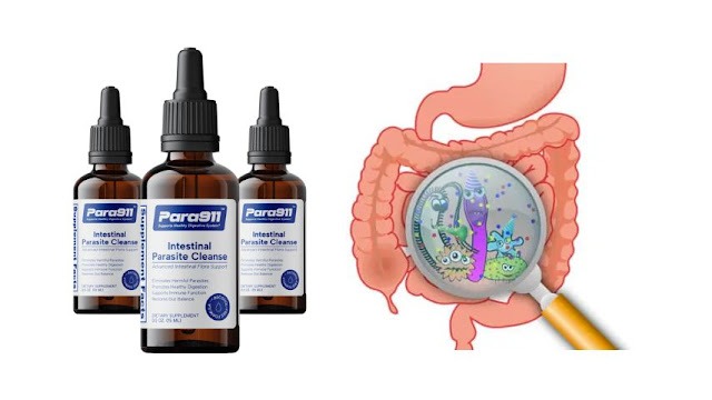 Para 911 | Natural Parasite Cleanse Drops Canada | Website | Para911™ Para 911 | Natural Parasite Cleanse Drops Canada | Website | Para911™