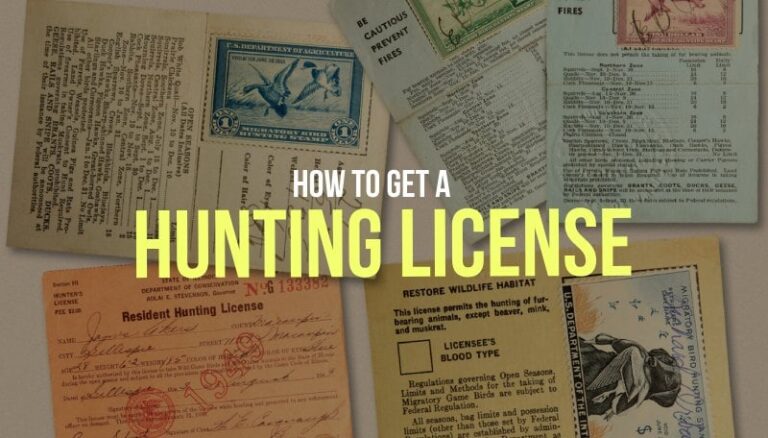continentaldocuments.com